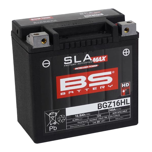 BS BATTERY MOTO-SCOOTER-APE ELETTRICO